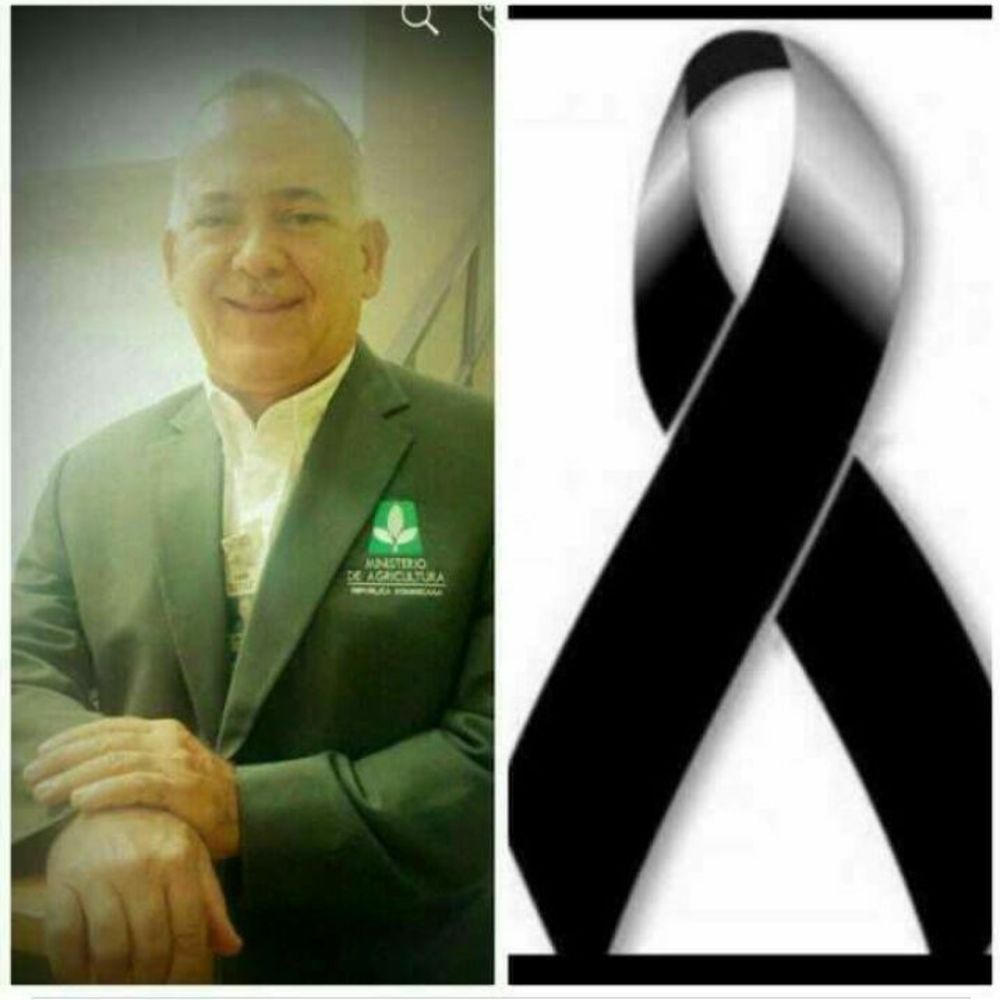 Meet your Posher, Aracelis